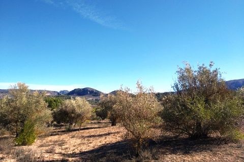 Helårsgrund i Benimarfull, Alicante, Benimarfull - € 45.000 | Ref: 8171 - foto 13