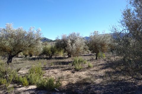 Helårsgrund i Benimarfull, Alicante, Benimarfull - € 45.000 | Ref: 8171 - foto 14