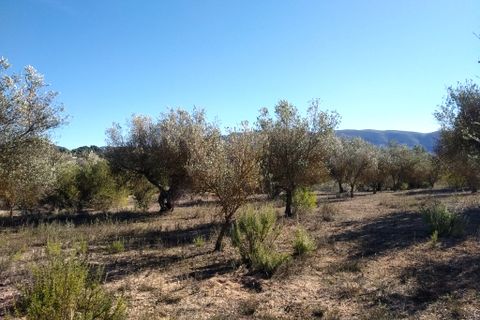 Helårsgrund i Benimarfull, Alicante, Benimarfull - € 45.000 | Ref: 8171 - foto 15