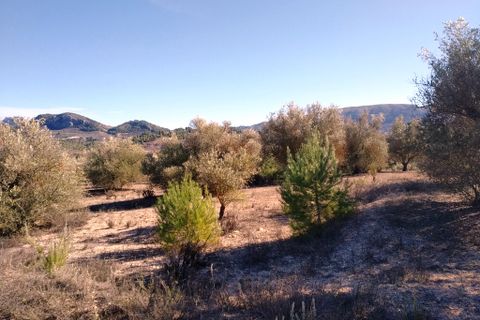 Helårsgrund i Benimarfull, Alicante, Benimarfull - € 45.000 | Ref: 8171 - foto 16
