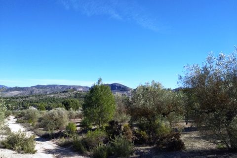 Helårsgrund i Benimarfull, Alicante, Benimarfull - € 45.000 | Ref: 8171 - foto 17