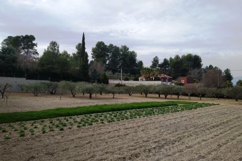 Landejendom i Ontinyent, Valencia, Ontinyent - € 198.000 | Ref: 2786 - foto 20