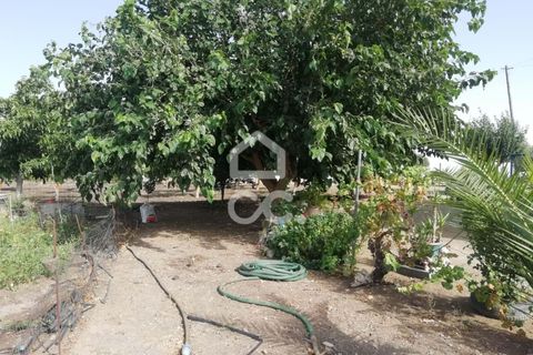 Farm hus i Beja, Beja, Beja - € 650.000 | Ref: 333/Q/01071 - foto 23