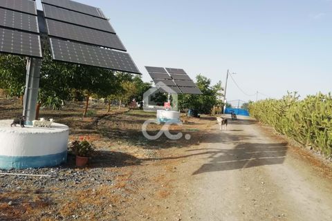 Farm hus i Beja, Beja, Beja - € 650.000 | Ref: 333/Q/01071 - foto 5