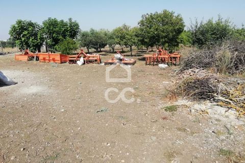 Farm hus i Beja, Beja, Beja - € 650.000 | Ref: 333/Q/01071 - foto 19