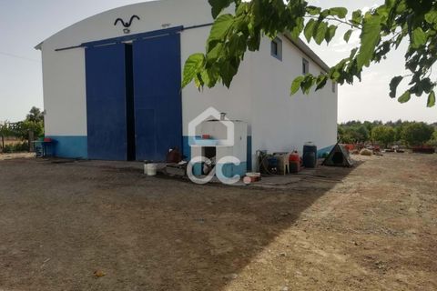 Farm hus i Beja, Beja, Beja - € 650.000 | Ref: 333/Q/01071 - foto 3