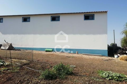 Farm hus i Beja, Beja, Beja - € 650.000 | Ref: 333/Q/01071 - foto 17