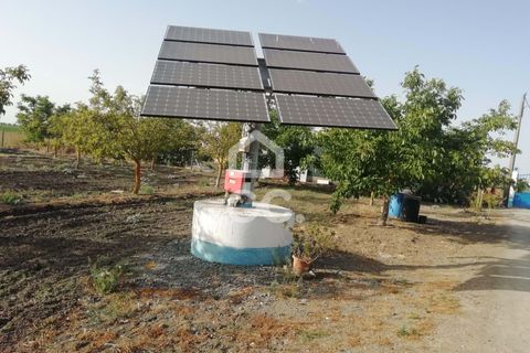 Farm hus i Beja, Beja, Beja - € 650.000 | Ref: 333/Q/01071 - foto 22