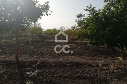 Farm hus i Beja, Beja, Beja - € 650.000 | Ref: 333/Q/01071 - foto 24