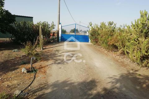 Farm hus i Beja, Beja, Beja - € 650.000 | Ref: 333/Q/01071 - foto 27