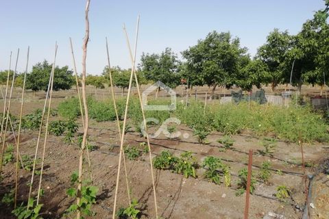 Farm hus i Beja, Beja, Beja - € 650.000 | Ref: 333/Q/01071 - foto 25