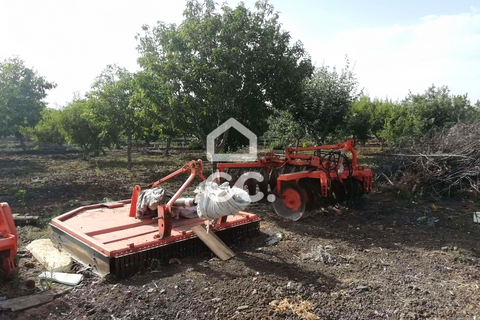 Farm hus i Beja, Beja, Beja - € 650.000 | Ref: 333/Q/01071 - foto 21