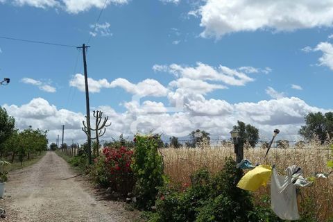 Farm hus i Beja, Beja, Beja - € 650.000 | Ref: 333/Q/01071 - foto 26