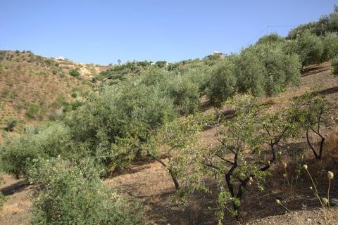 Finca i Sedella, Malaga, Sedella - € 72.000 | Ref: CP051 - foto 3