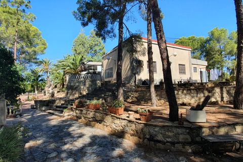 Landejendom i Monovar, Alicante, Monovar - € 594.950 | Ref: Fatima amazing - foto 19