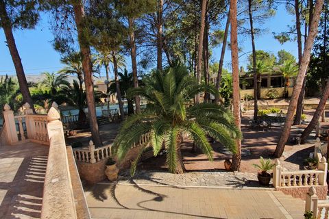 Landejendom i Monovar, Alicante, Monovar - € 594.950 | Ref: Fatima amazing - foto 9