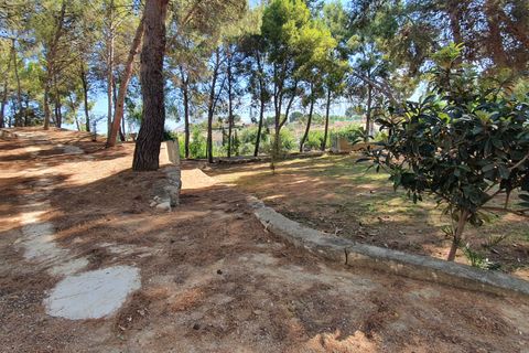 Landejendom i Monovar, Alicante, Monovar - € 594.950 | Ref: Fatima amazing - foto 17