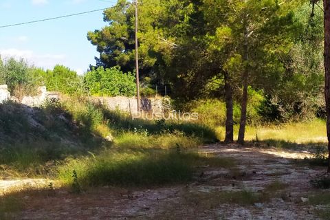 Helårsgrund i Benissa, Alicante, Benissa - € 1.500.000 | Ref: P38 - foto 2