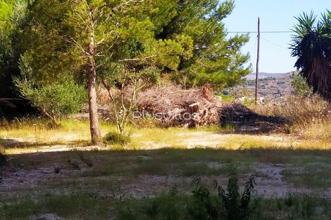 Helårsgrund i Benissa, Alicante, Benissa - € 1.500.000 | Ref: P38 - foto 3