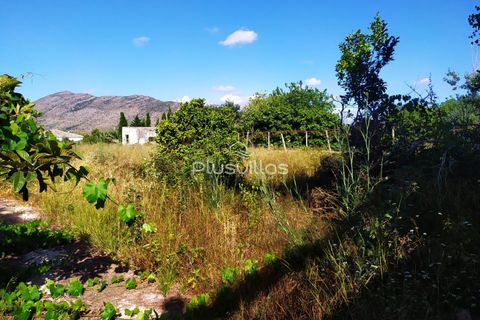 Helårsgrund i Benissa, Alicante, Benissa - € 1.500.000 | Ref: P38 - foto 5