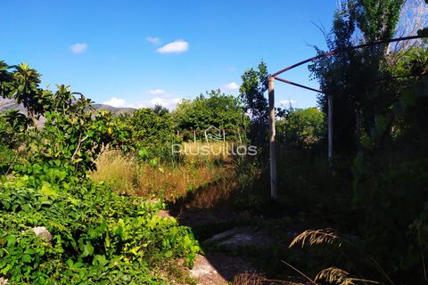Helårsgrund i Benissa, Alicante, Benissa - € 1.500.000 | Ref: P38 - foto 6