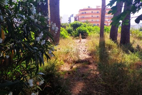 Helårsgrund i Benissa, Alicante, Benissa - € 1.500.000 | Ref: P38 - foto 7