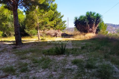 Helårsgrund i Benissa, Alicante, Benissa - € 1.500.000 | Ref: P38 - foto 8