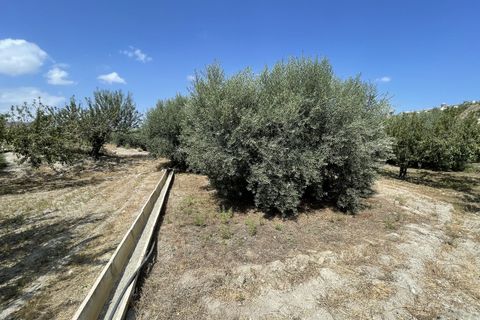 Helårsgrund i Huercal-Overa, Almeria, Huercal-Overa - € 39.999 | Ref: A1240 - foto 3
