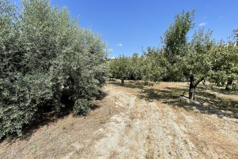 Helårsgrund i Huercal-Overa, Almeria, Huercal-Overa - € 39.999 | Ref: A1240 - foto 4