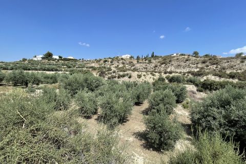 Helårsgrund i Huercal-Overa, Almeria, Huercal-Overa - € 39.999 | Ref: A1240 - foto 5