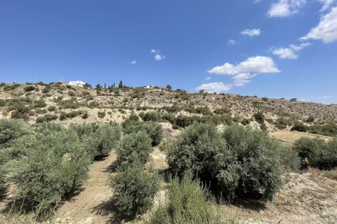 Helårsgrund i Huercal-Overa, Almeria, Huercal-Overa - € 39.999 | Ref: A1240 - foto 7