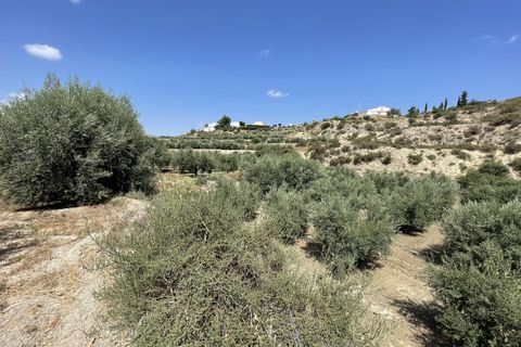 Helårsgrund i Huercal-Overa, Almeria, Huercal-Overa - € 39.999 | Ref: A1240 - foto 8