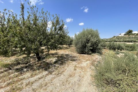 Helårsgrund i Huercal-Overa, Almeria, Huercal-Overa - € 39.999 | Ref: A1240 - foto 9