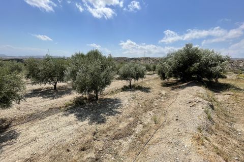 Helårsgrund i Huercal-Overa, Almeria, Huercal-Overa - € 39.999 | Ref: A1240 - foto 10