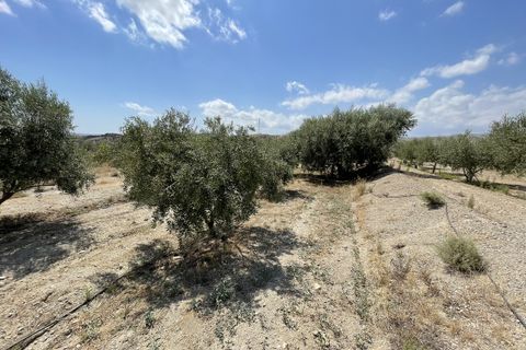 Helårsgrund i Huercal-Overa, Almeria, Huercal-Overa - € 39.999 | Ref: A1240 - foto 13