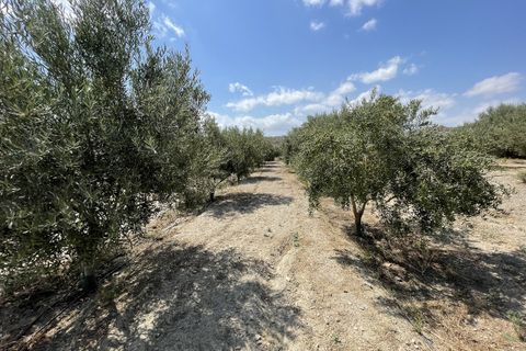 Helårsgrund i Huercal-Overa, Almeria, Huercal-Overa - € 39.999 | Ref: A1240 - foto 17