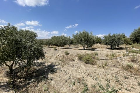 Helårsgrund i Huercal-Overa, Almeria, Huercal-Overa - € 39.999 | Ref: A1240 - foto 18
