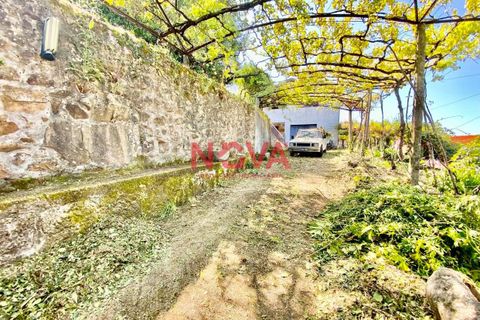 Farm i Santo Tirso, Porto, Santo Tirso - € 449.000 | Ref: NOVA-ER-940 - foto 1