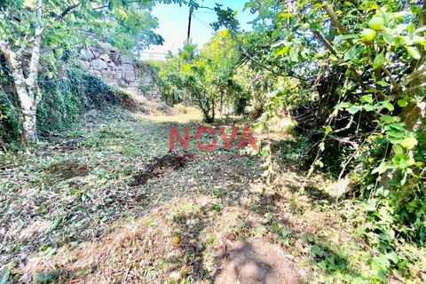 Farm i Santo Tirso, Porto, Santo Tirso - € 449.000 | Ref: NOVA-ER-940 - foto 24