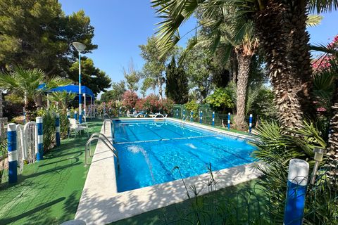 Landejendom i Crevillent, Alicante - foto 2