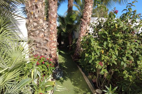 Landejendom i Elche, Alicante, Elche - € 395.000 | Ref: SP3194 - foto 35