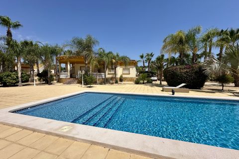 Landejendom i Catral, Alicante, Catral - € 700.000 | Ref: 2SP353 - foto 36