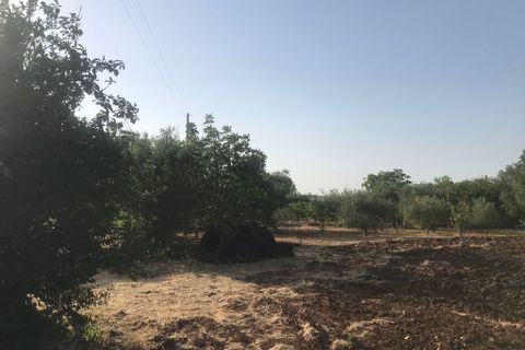 Landejendom i Cisternino, Brindisi, Cisternino - € 230.000 | Ref: 126 - foto 23