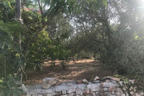 Landejendom i Cisternino, Brindisi, Cisternino - € 230.000 | Ref: 126 - foto 15