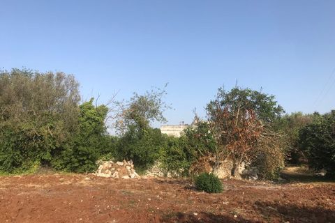 Landejendom i Cisternino, Brindisi, Cisternino - € 230.000 | Ref: 126 - foto 14