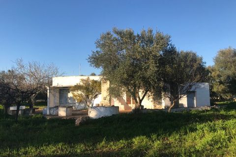 Landejendom i Ostuni, Brindisi, Ostuni - € 75.000 | Ref: 117 - foto 4
