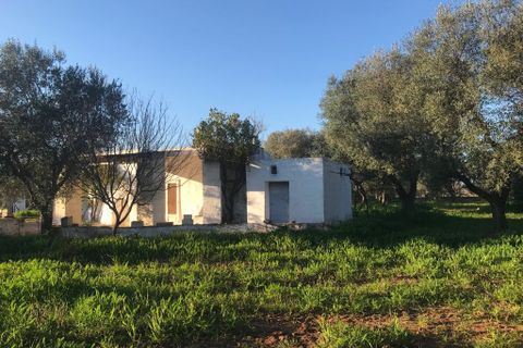 Landejendom i Ostuni, Brindisi, Ostuni - € 75.000 | Ref: 117 - foto 3