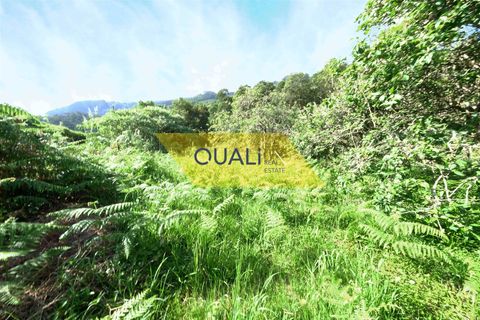 Helårsgrund i Machico, Madeira, Machico - € 35.000 | Ref: Q1781 - foto 6