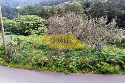 Helårsgrund i Machico, Madeira, Machico - € 35.000 | Ref: Q1781 - foto 5