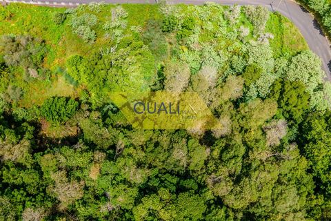 Helårsgrund i Machico, Madeira, Machico - € 35.000 | Ref: Q1781 - foto 2